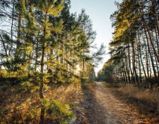 *Туристический комплекс «Экопарк Поляны»