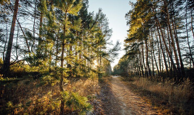 «Экопарк Поляны» туристический комплекс